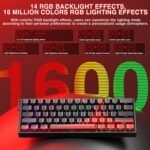 Aula Win60 HE MAX Wired Magnetic Gaming Keyboard - Wing Chun Switch - Black Red - Image 8